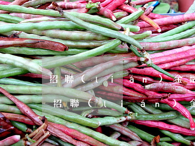 招聯(lián)金融欠2w沒錢還怎么辦(招聯(lián)金融沒有錢還怎么辦)