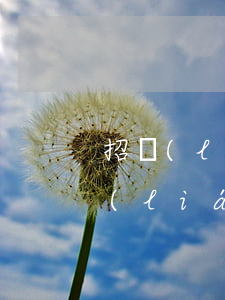 招聯(lián)金融欠2萬多久起訴(招聯(lián)金融的欠款已經(jīng)逾期700多天了為啥還不起訴)