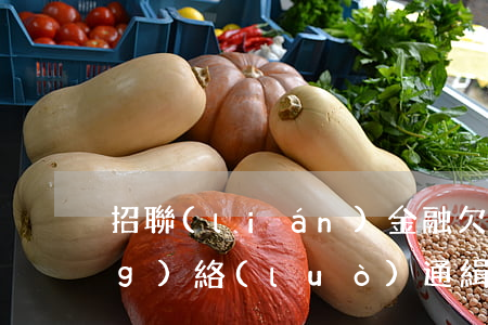 招聯(lián)金融欠2萬要網(wǎng)絡(luò)通緝我(招聯(lián)金融說網(wǎng)絡(luò)追逃)