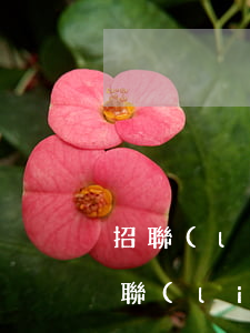 招聯(lián)金融欠3000不還錢(招聯(lián)金融欠了四萬,現(xiàn)在沒錢還了,怎么辦)
