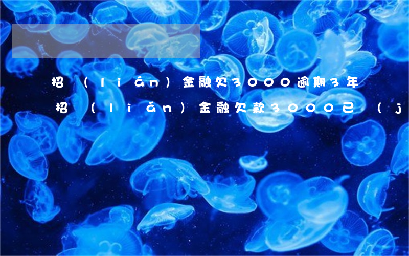招聯(lián)金融欠3000逾期3年(招聯(lián)金融欠款3000已經(jīng)逾期半年了我會坐牢嗎)