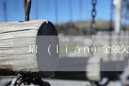 招聯(lián)金融欠4000