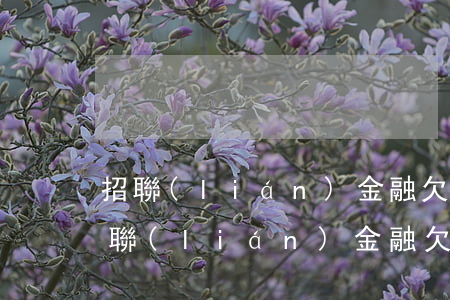 招聯(lián)金融欠6000會怎樣(招聯(lián)金融欠6000會怎樣)