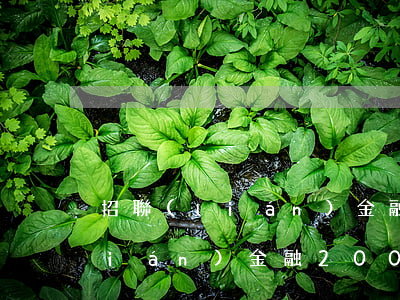 招聯(lián)金融欠一千沒還(招聯(lián)金融2000沒還)