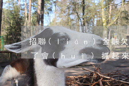 招聯(lián)金融欠一萬元錢沒還被告了會(huì)抓起來嗎（招聯(lián)金融逾期會(huì)起訴沒錢還）