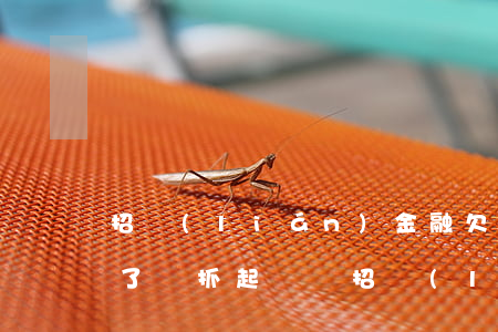 招聯(lián)金融欠一萬元錢沒還被告了會抓起來嗎（招聯(lián)金融逾期會起訴沒錢還）