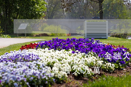 招聯(lián)金融欠九萬(招聯(lián)金融欠九萬)