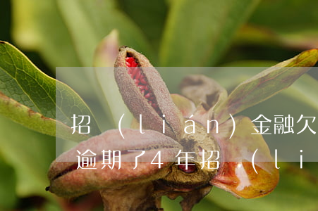 招聯(lián)金融欠了7萬(wàn)逾期了4年(招聯(lián)金融逾期費(fèi)6萬(wàn)多了逾期三年了怎么辦)