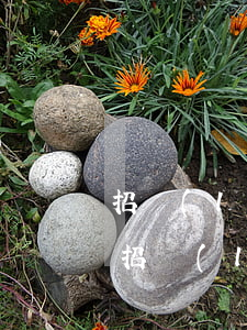 招聯(lián)金融欠了兩萬三年沒還了(招聯(lián)金融欠了兩萬三年沒還了)
