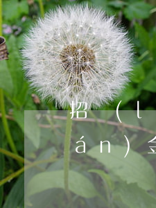 招聯(lián)金融欠了兩萬(招聯(lián)金融一千多沒還)
