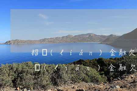 招聯(lián)金融欠了還不上怎么辦(招聯(lián)金融欠了還不上怎么辦)