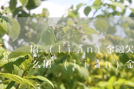 招聯(lián)金融欠五千兩年沒還會怎么(招聯(lián)金融欠五千兩年沒還會怎么)