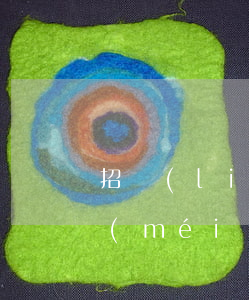 招聯(lián)金融欠八萬(wàn)沒(méi)錢還怎么辦(招聯(lián)金融欠了四萬(wàn),現(xiàn)在沒(méi)錢還了,怎么辦)