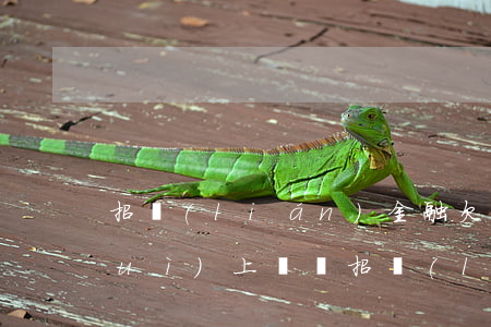 招聯(lián)金融欠四千多逾期會(huì)上門嗎(招聯(lián)金融欠1000多3年了會(huì)不會(huì)找上門?)