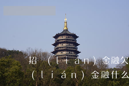招聯(lián)金融欠多久會被起訴(招聯(lián)金融什么時候會起訴)