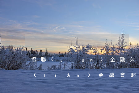 招聯(lián)金融欠多少會被起訴(招聯(lián)金融會起訴嗎?)