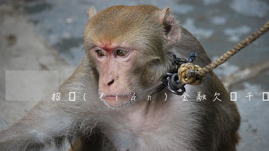 招聯(lián)金融欠幾千塊會起訴嗎