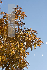 招聯(lián)金融欠款2萬多逾期(招聯(lián)金融的欠款已經(jīng)逾期700多天了為啥還不起訴)
