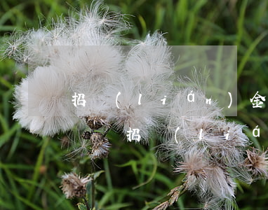招聯(lián)金融欠款幾千元逾期會起訴嗎(招聯(lián)金融欠了1000多塊逾期了會被起訴嗎?)