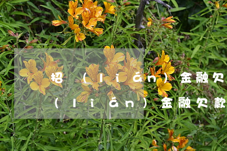 招聯(lián)金融欠款逾期20天(招聯(lián)金融欠款1400逾期了,然后剛才收到)