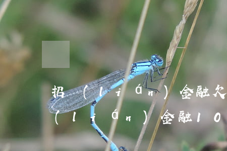 招聯(lián)金融欠款逾期后果(欠招聯(lián)金融10萬逾期無能要還結(jié)果最后)