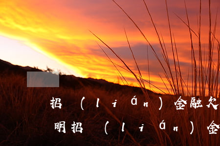 招聯(lián)金融欠款逾期怎樣提供證明(招聯(lián)金融欠款1400逾期了,然后剛才收到)