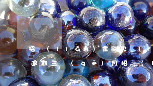 招聯(lián)金融欠費(fèi)大額逾期三個(gè)月(招聯(lián)金融欠費(fèi)大額逾期三個(gè)月)