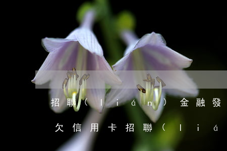 招聯(lián)金融發(fā)信息說我欠信用卡(招聯(lián)金融發(fā)信息信用卡逾期)