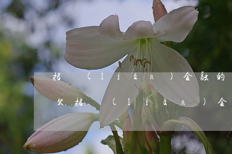 招聯(lián)金融的欠款逾期一年了(我欠招聯(lián)金融貸款15000逾期兩年會(huì)怎么樣)