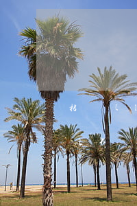 招聯(lián)金融網(wǎng)貸可以不還嗎(招聯(lián)金融可以不用還嗎)