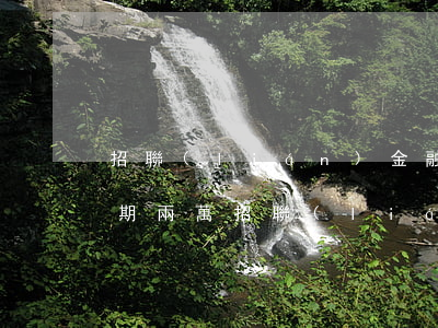 招聯(lián)金融網(wǎng)貸逾期兩萬(招聯(lián)金融網(wǎng)貸逾期了暫時還不上怎么辦)