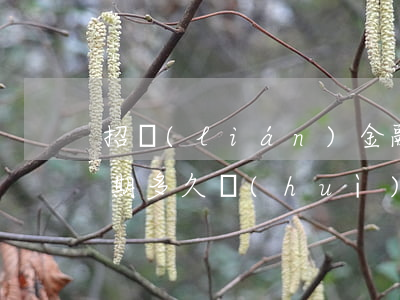 招聯(lián)金融網(wǎng)貸逾期多久會(huì)被起訴(招聯(lián)金融的欠款已經(jīng)逾期700多天了為啥還不起訴)