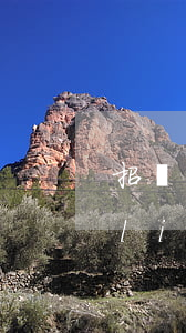 招聯(lián)金融蘇磊共欠多少(招聯(lián)金融還完)
