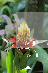 招聯(lián)金融說我欠90塊錢(我欠招聯(lián)金融40000元起訴了會有什么后果)