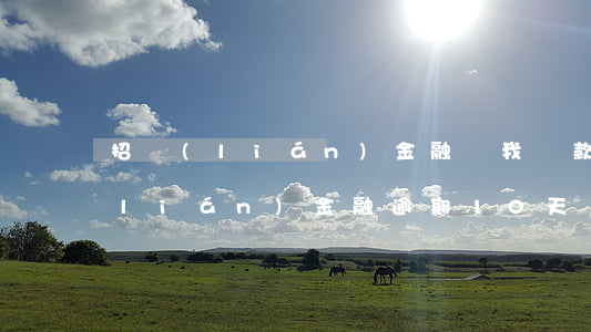招聯(lián)金融說我貸款逾期(招聯(lián)金融逾期10天發(fā)信息說要聯(lián)系單位)