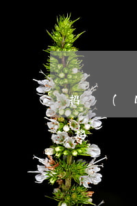 招聯(lián)金融貸款逾期一年了法院起訴會怎么判決（招連金融逾期被起訴）