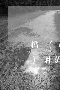 招聯(lián)金融貸款逾期三個(gè)月(招聯(lián)金融逾期處理后什么時(shí)候可以貸款)