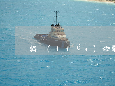 招聯(lián)金融貸款逾期起訴開庭