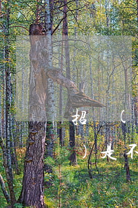 招聯(lián)金融逾期10萬(wàn) 是不是真的會(huì)起訴（招聯(lián)逾期嚴(yán)重會(huì)起訴嗎）