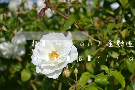 招聯(lián)金融逾期10萬 是不是真的會起訴（招聯(lián)逾期起訴坐牢）