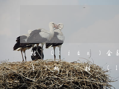招聯(lián)金融逾期11萬會(huì)起訴嗎 招聯(lián)金融的欠款已經(jīng)逾期700多天了為啥還不起訴
