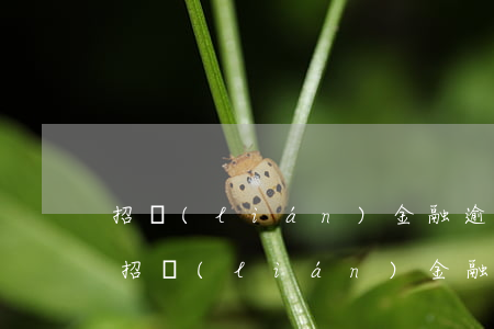 招聯(lián)金融逾期3年起訴(有人欠招聯(lián)金融兩萬逾期半年多被起訴的嗎)