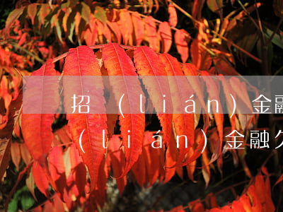 招聯(lián)金融逾期500起訴(招聯(lián)金融欠款5000要起訴我真的假的)