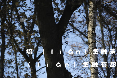 招聯(lián)金融逾期一年未還款(招聯(lián)金融有超過(guò)兩年逾期的么都經(jīng)歷了什么)