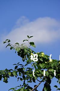 招聯(lián)金融逾期一年被起訴(招聯(lián)金融逾期1個(gè)月說已經(jīng)告我啦,是真的嗎)