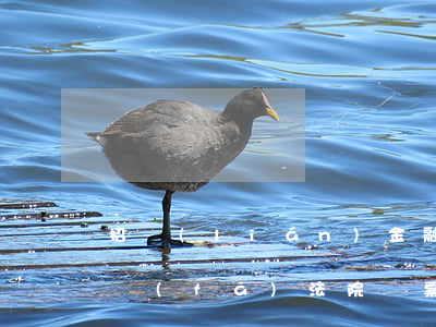 招聯(lián)金融逾期了會(huì)發(fā)法院傳票嗎 招聯(lián)金融會(huì)法院起訴嗎