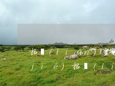 招聯(lián)金融逾期信用卡被凍結(jié)(招聯(lián)金融逾期會(huì)凍結(jié)招商銀行借記卡嗎)