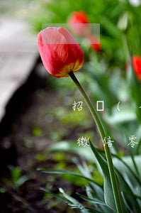 招聯(lián)金融逾期凍結(jié)微信零錢嗎