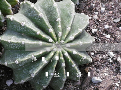 招聯(lián)金融逾期半年沒(méi)還起訴(招聯(lián)金融逾期一年多了說(shuō)要向人民法院提起訴訟咋辦)
