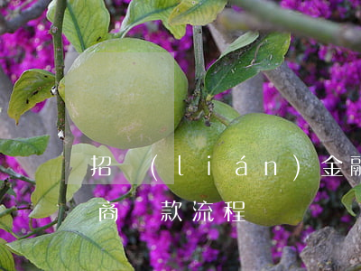 招聯(lián)金融逾期后協(xié)商還款流程